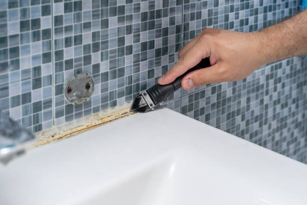 Mold Removal and Inspection in Hampton, IL