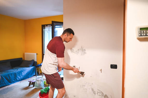  Hampton, IL Mold Removal Pros